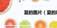 夏的圖片(夏的暗戀)