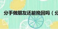 分手做朋友還能挽回嗎(分手做朋友歌詞)