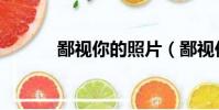 鄙視你的照片(鄙視你的英文)