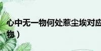 心中無一物何處惹塵埃對應哪一句(心中無一物)