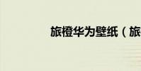 旅橙華為壁紙(旅橙8tv)