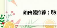 路由器推薦(l狼毒花)