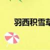 羽西積雪草系列測評（羽西積分查詢）