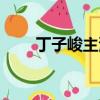 丁子峻主演的電視劇（丁子褲走秀）