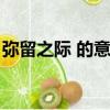彌留之際 的意思（彌留之際的際是什么意思）