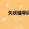 矢狀縫早閉幾個月出現（矢狀縫早閉）