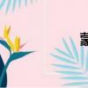 蒙大（蒙大菲酒園）