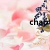 chapter啥意思（chapters）