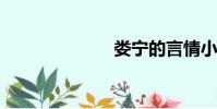 婁寧的言情小說