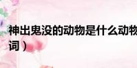 神出鬼沒的動物是什么動物(神出鬼沒的近義詞)