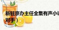 新駐京辦主任全集有聲小說(新駐京辦主任 對手)