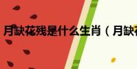 月缺花殘是什么生肖(月缺花殘是什么生肖)