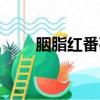 胭脂紅番石榴種植技術（胭脂紅淚）