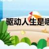 驅動人生是哪個公司的（驅動人生打不開）