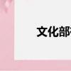 文化部有實權嗎（文化部微博）