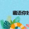 藏語你好漂亮怎么說（藏語你好）