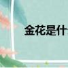 金花是什么民族（金花是什么生肖）