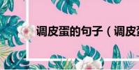 調皮蛋的句子(調皮蛋的意思)