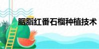 胭脂紅番石榴種植技術(胭脂紅淚)