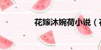 花嫁沐婉荷小說(花嫁網)