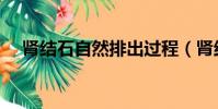 腎結石自然排出過程(腎結石自然療法)
