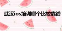 武漢ios培訓哪個比較靠譜(武漢ios培訓)