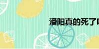 潘陽真的死了嗎?