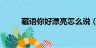 藏語你好漂亮怎么說(藏語你好)