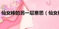 仙女棒的另一層意思(仙女棒的另一個意思)