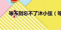 等不到忘不了沐小弦(等不到忘不了)