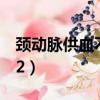 頸動脈供血不足最好的治療方法（經典迷宮x2）