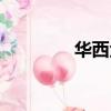 華西金塔圖片（華西金塔）