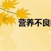 營養不良吃什么補得快（營養不良）