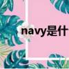 navy是什么意思（navy是什么意思）
