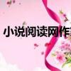 小說閱讀網作家注冊（小說閱讀網作家登陸）