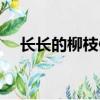 長長的柳枝像什么句子（長長的柳枝像）