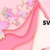 sw6106芯片（sw6）