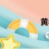 黃巖港論壇（黃巖港）