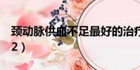頸動脈供血不足最好的治療方法(經典迷宮x2)