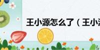 王小源怎么了(王小源怎么了)