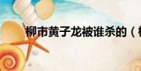 柳市黃子龍被誰殺的(柳市黃子龍)