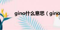 gino什么意思(gino什么意思)