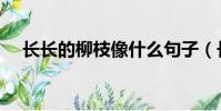 長長的柳枝像什么句子(長長的柳枝像)