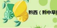 黔西(黔中早報)