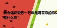 我會保證愛你一萬年是哪首歌的歌詞(我會保證愛你一萬年是什么歌)