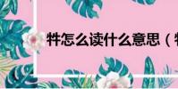 牪怎么讀什么意思(牪怎么讀)
