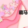 藏馬山阿朵（藏馬山傳奇）