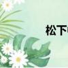 松下中央空調（松下忠洋）