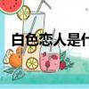 白色戀人是什么菜（白色戀人是什么意思）