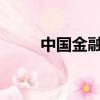 中國金融企業領導人管理暫行規定